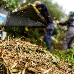 Broyat de végétaux non calibré